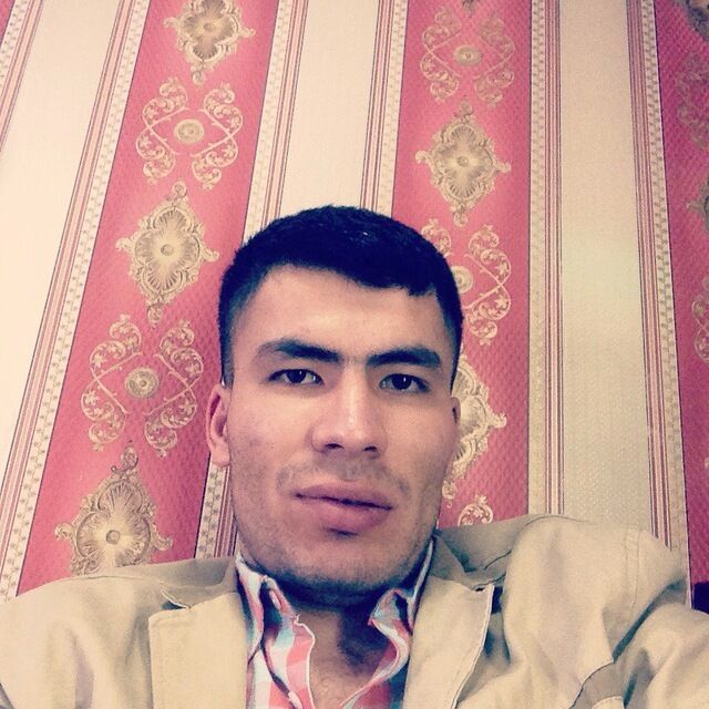  28585009  , 33 ,    -