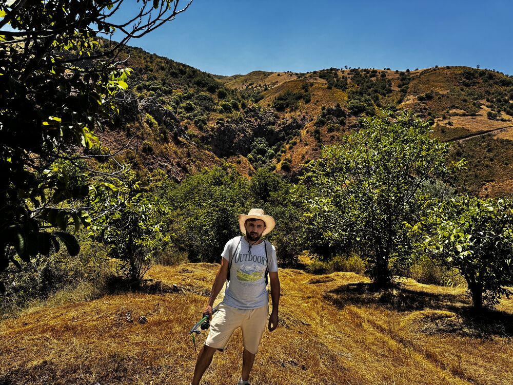 ���������� ������, ���� ������� ������, 38 ���, ������������ ��� ����� � ���������, ���������