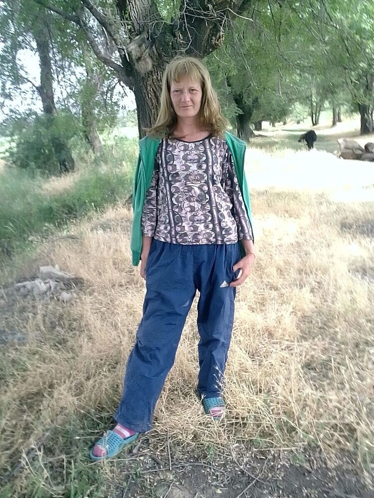  20337659  , 37 ,    