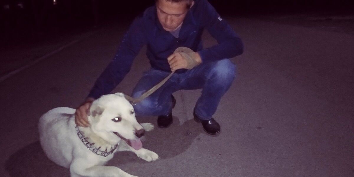 ���� 17567699 ������� �������, 27 ���, ���� ���������� � �������