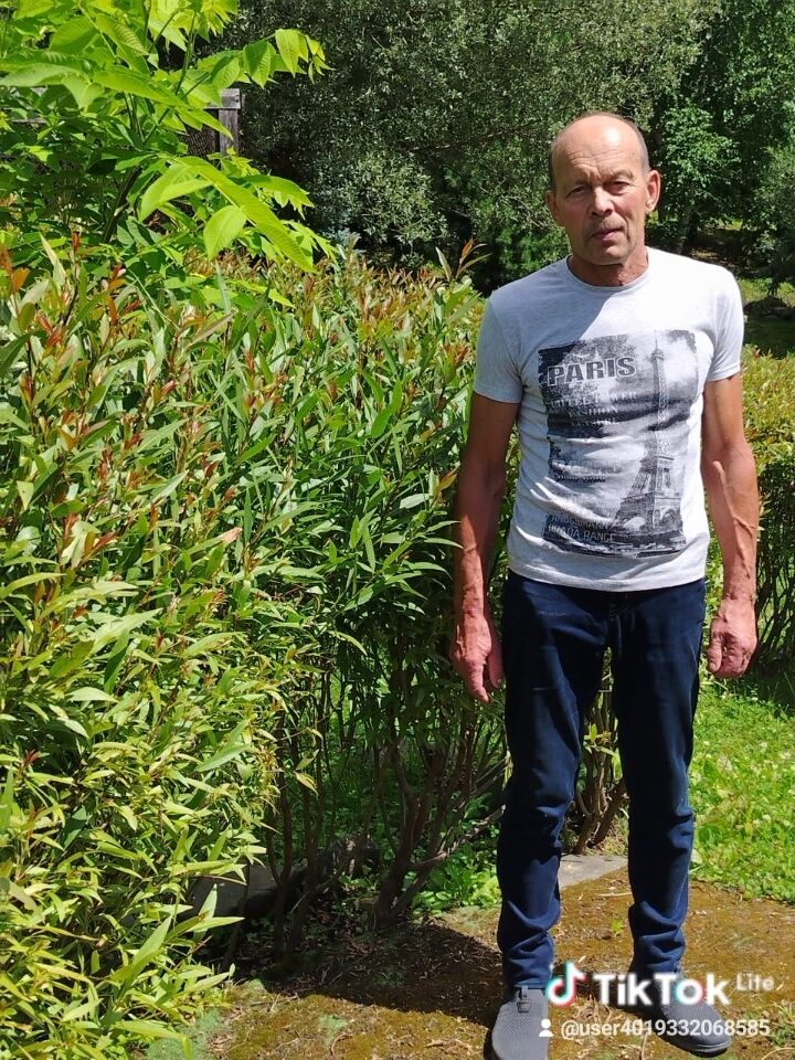 ���������� ���������, ���� ������� ���������, 66 ���, ������������ ��� ������, ����� � ���������, c�������� ���������, ���������