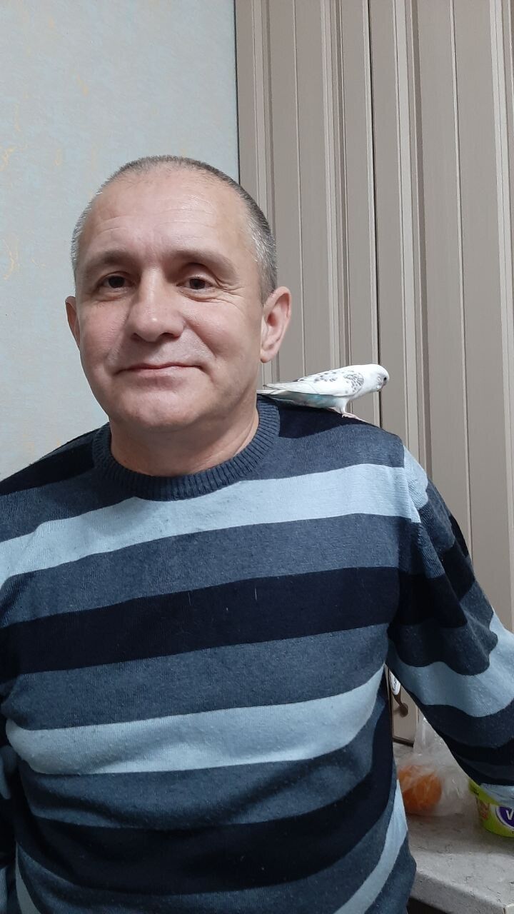 ���� 44841439 ������� �������, 52 ����, ���� ���������� � ������