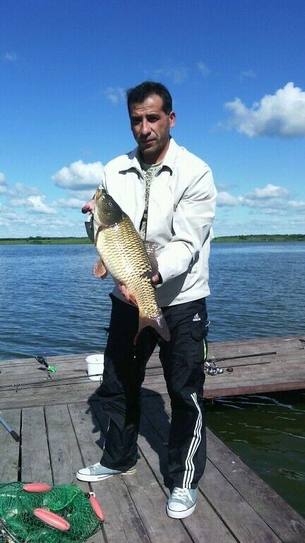  ,   , 53 ,   ,   