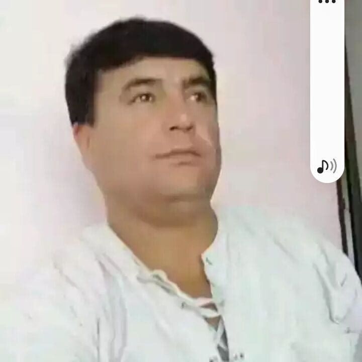 28375299  , 48 ,    