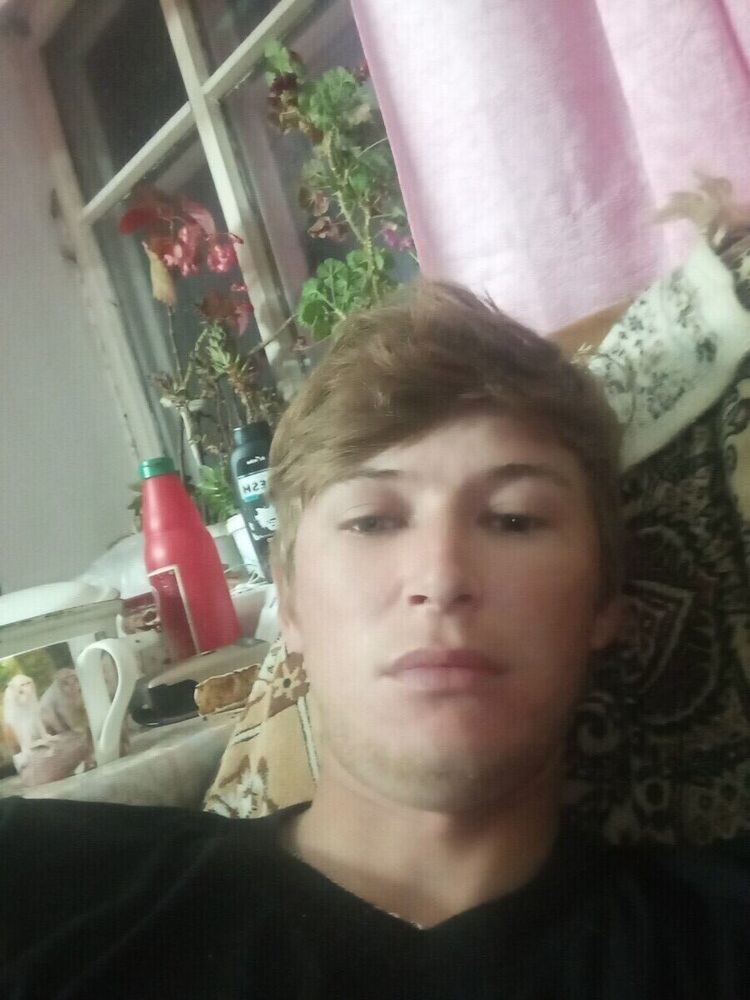  21230169  , 31 ,    