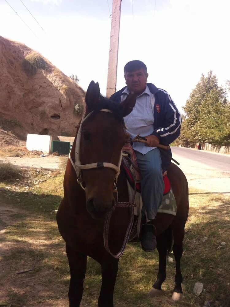  ,   , 55 ,   ,   