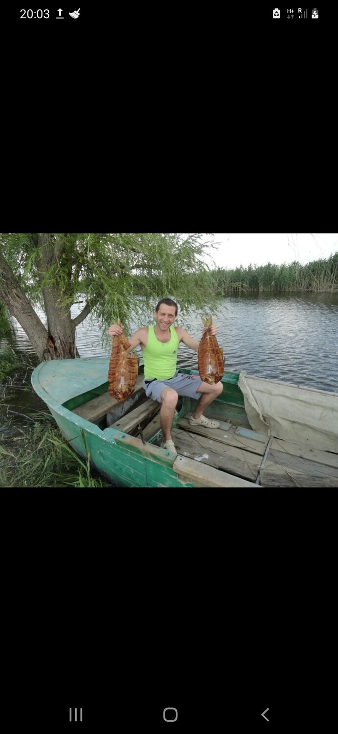 ���������� �����������, ���� ������� �������, 43 ����, ������������ ��� c�������� ���������