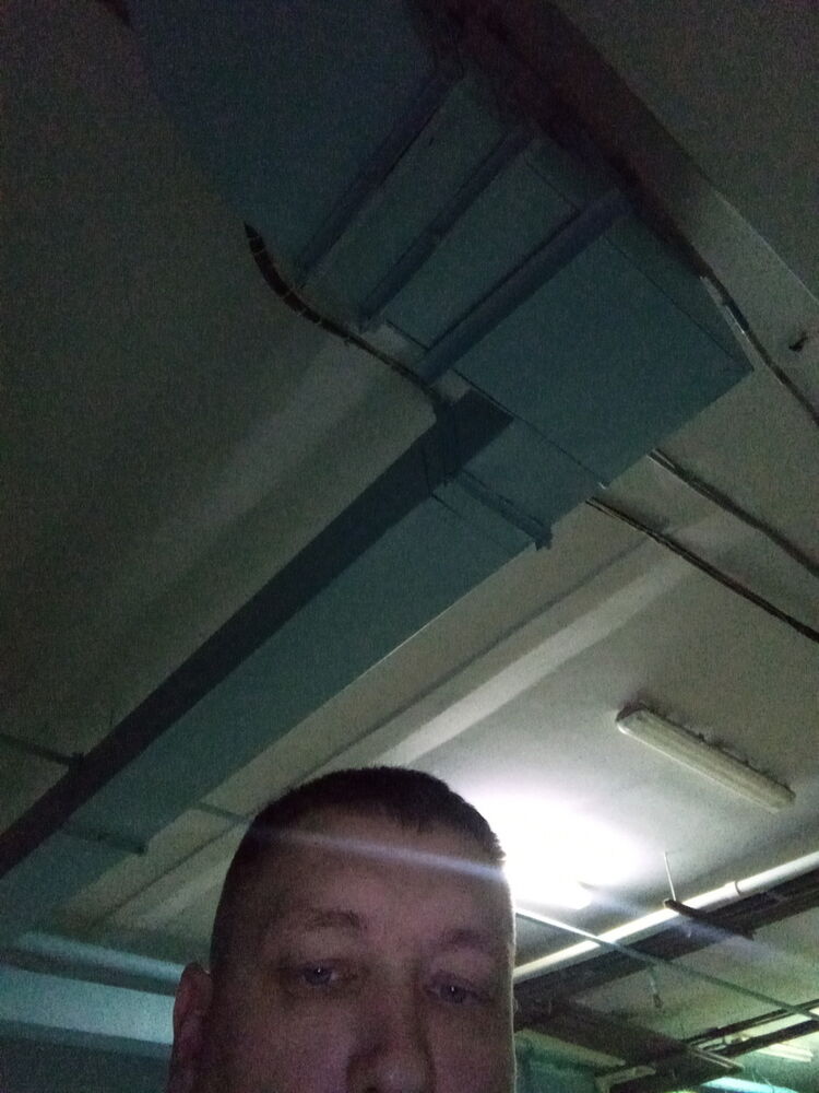  19036499  , 46 ,    