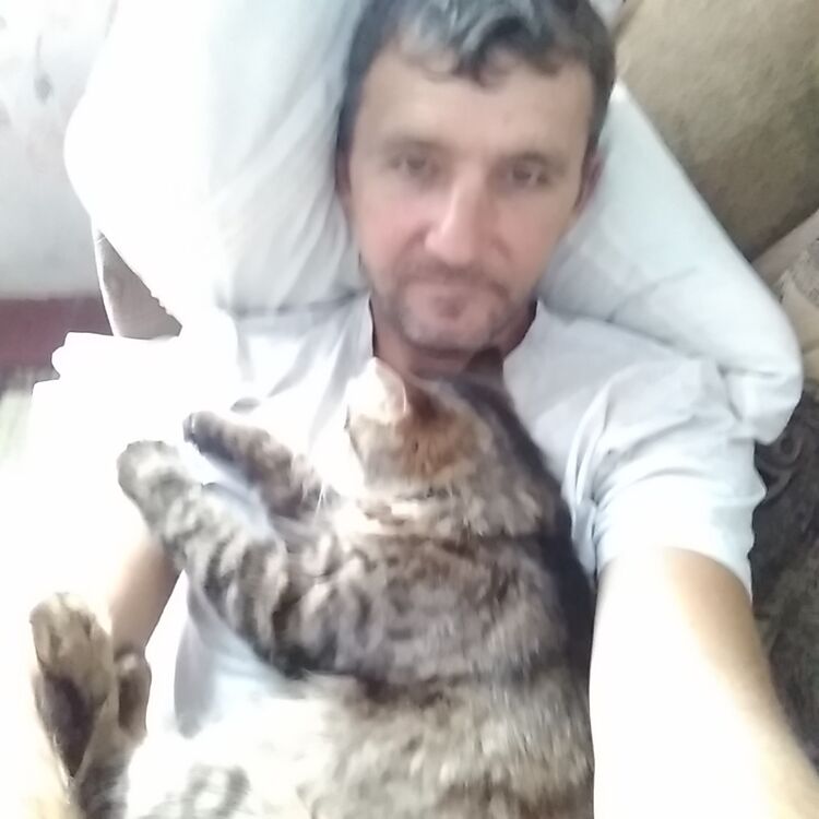  ,   , 49 ,   ,   