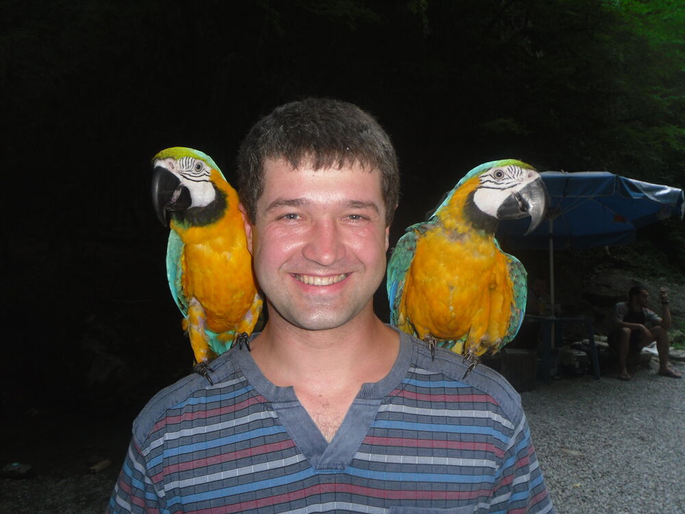 ���� 44058599 ������� �����, 44 ����, ���� ���������� � ������