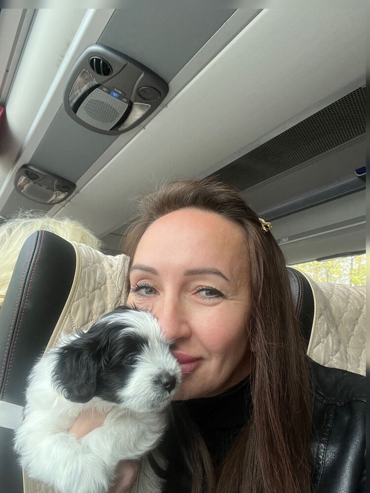 ���� 55074479 ������� ���� ������, 45 ���, ���� ���������� � �������������