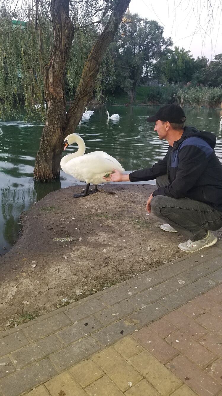 ���������� ������, ���� ������� �������, 38 ���, ������������ ��� ������, ����� � ���������, ���������