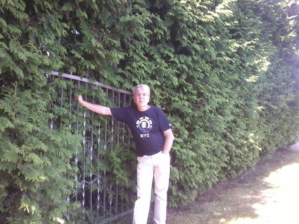 ���� 55017409 ������� �����, 60 ���, ���� ���������� � ���������