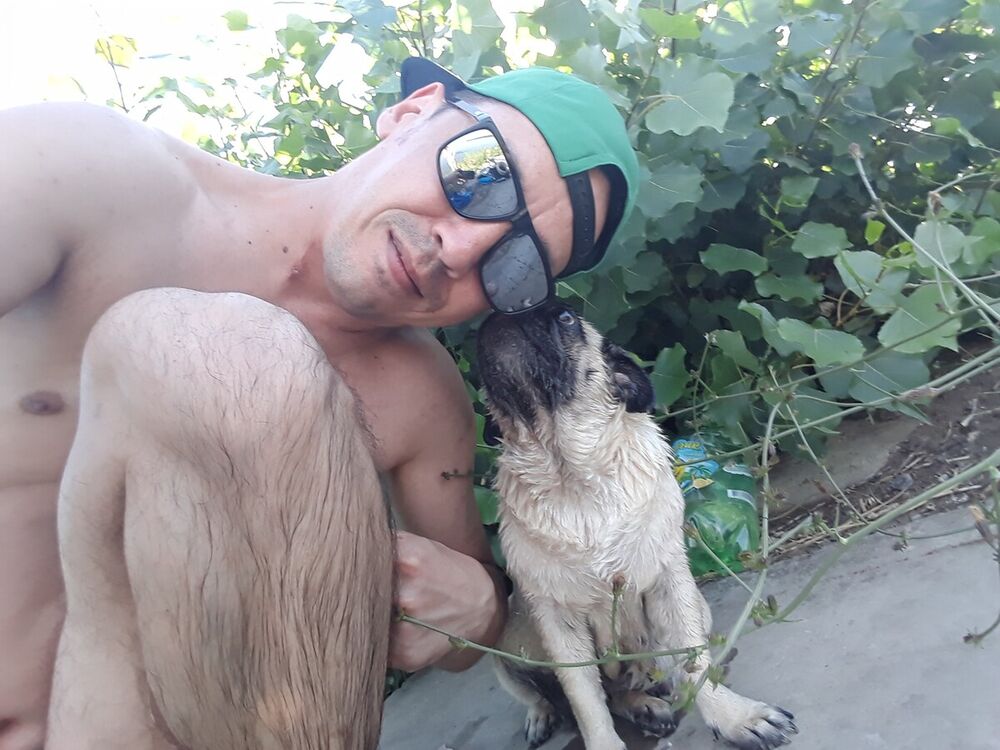 ���������� �������, ���� ������� ���������, 42 ����, ������������ ��� ������, ����� � ���������, c�������� ���������