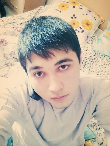 ���� 4820039 ������� SHuRIK, 31 ���, ���� ���������� � ������