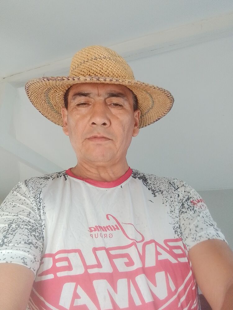  49981599  , 55 ,    
