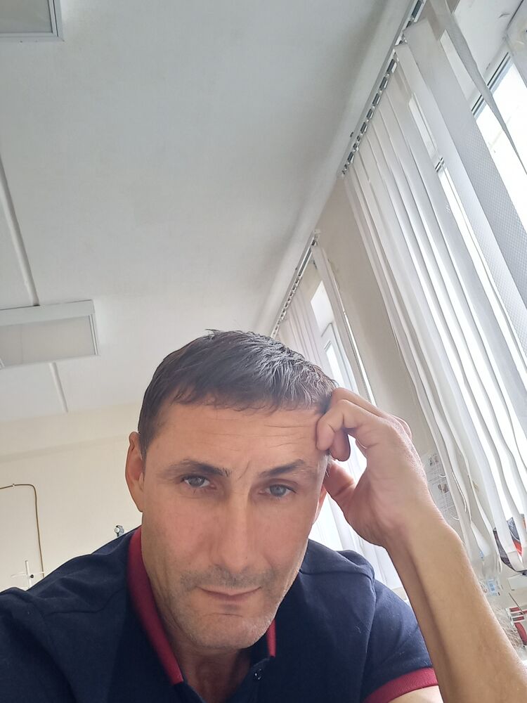  29313119  , 43 ,     