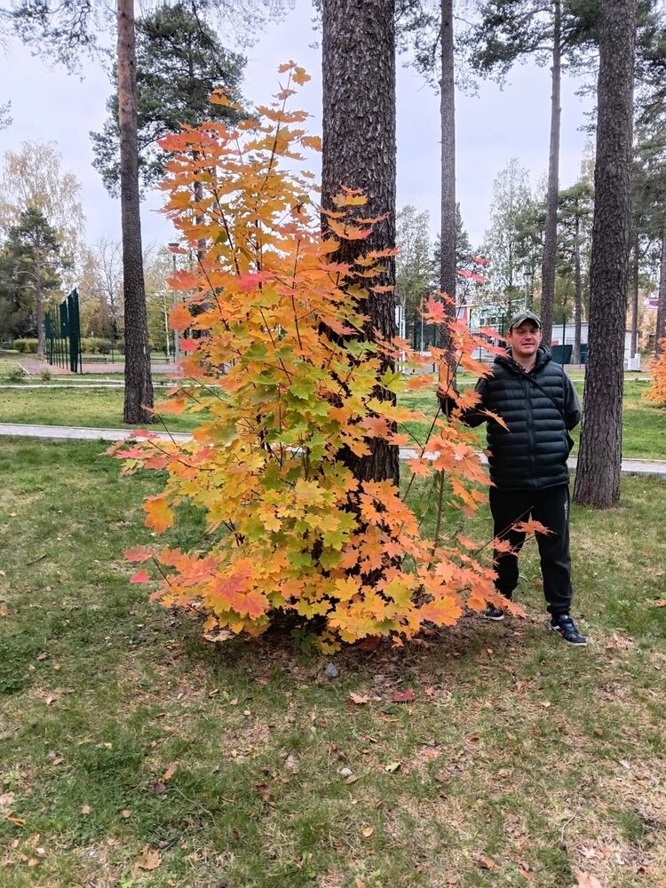  54311249  , 39 ,    -