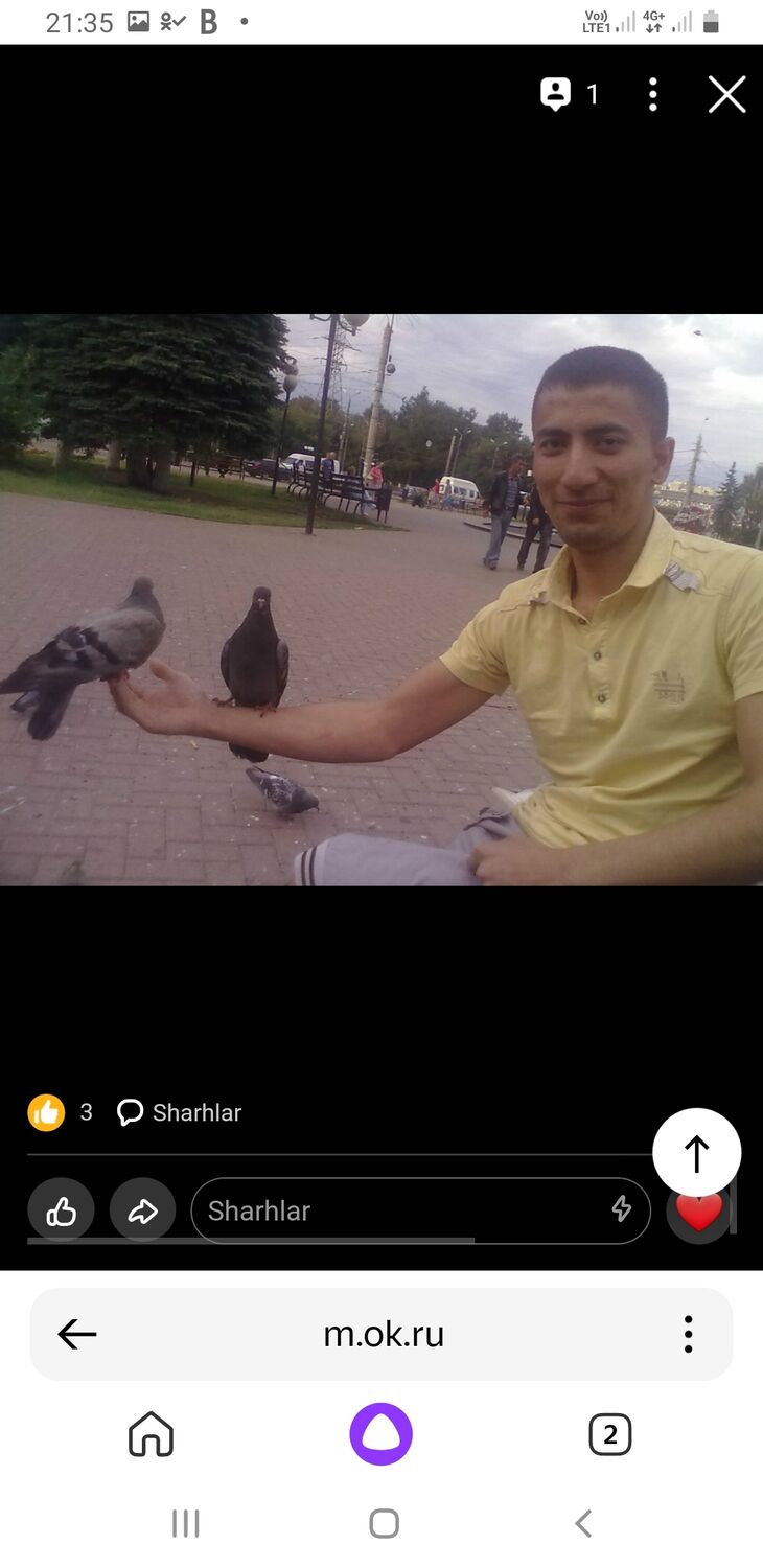  34034839  D, 34 ,    