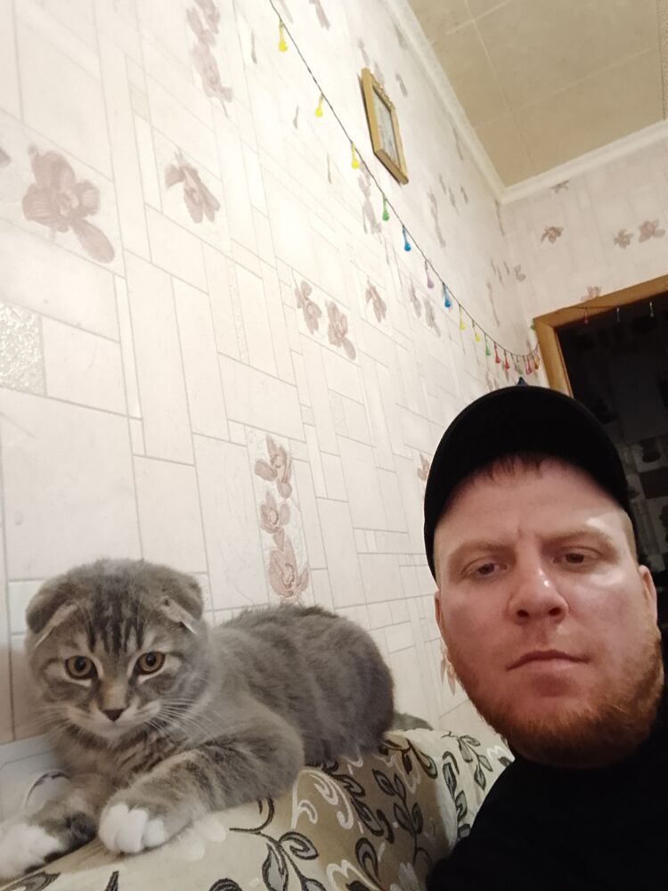 ���������� ����� �������, ���� ������� ����, 38 ���, ������������ ��� ������, ����� � ���������, c�������� ���������