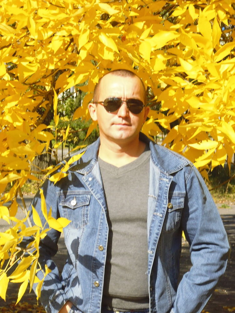  8081599  , 47 ,    