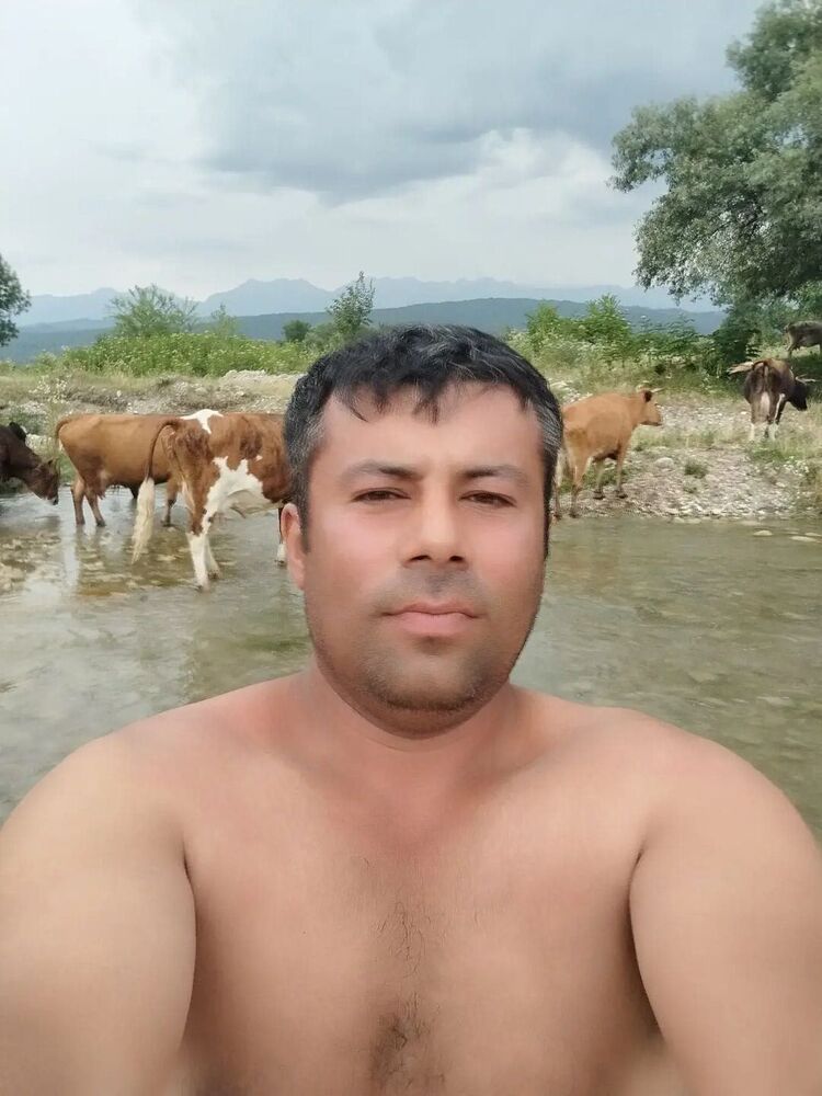  44686569   , 38 ,    