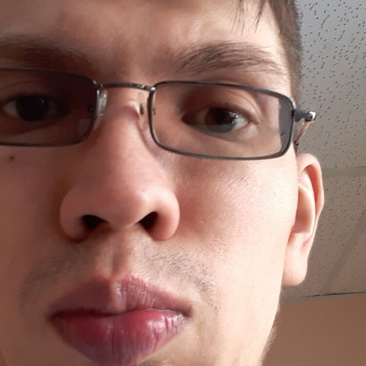  22242119  , 31 ,    