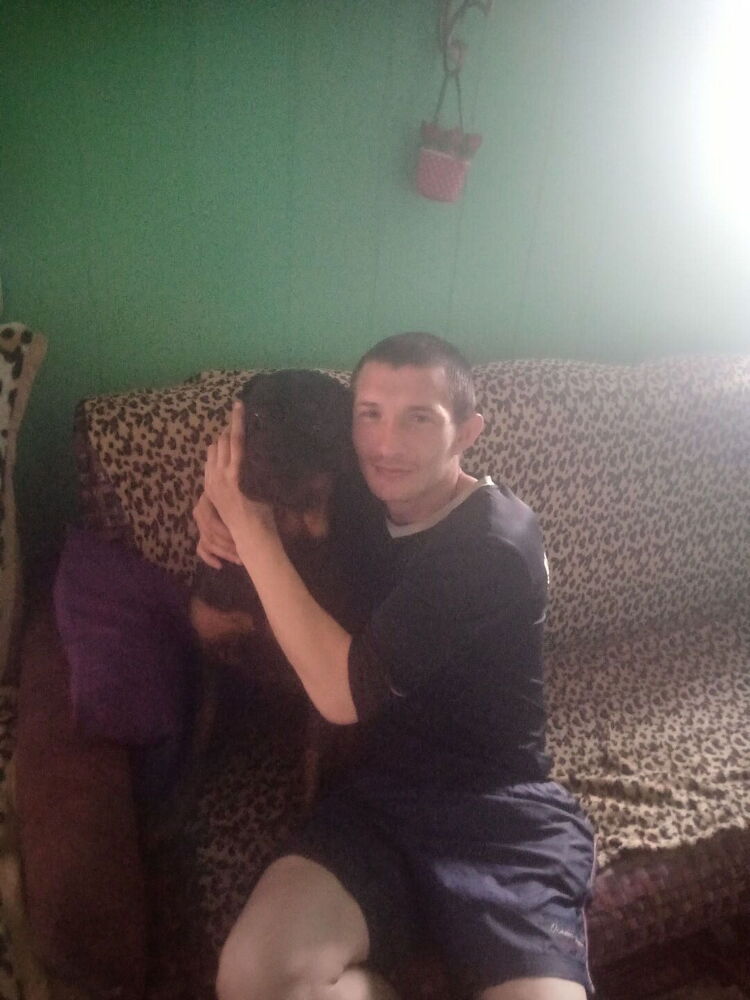 ���� 27009089 ������� ����, 33 ����, ���� ���������� � ������������