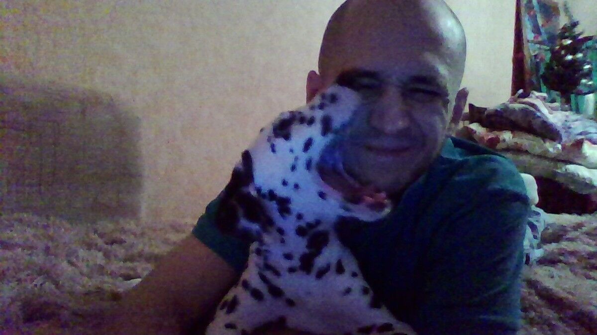 ���������� �����, ���� ������� ����, 36 ���, ������������ ��� ������, ����� � ���������, c�������� ���������