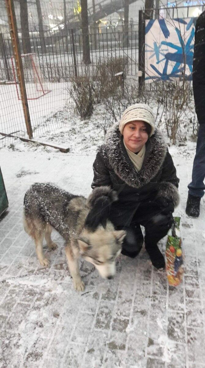 ���� 11747189 ������� ��������, 52 ����, ���� ���������� � ��������