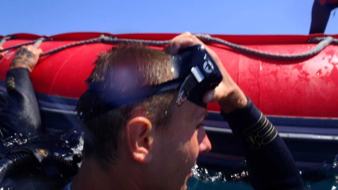 ���� 33845449 ������� �����, 31 ���, ���� ���������� � ���������