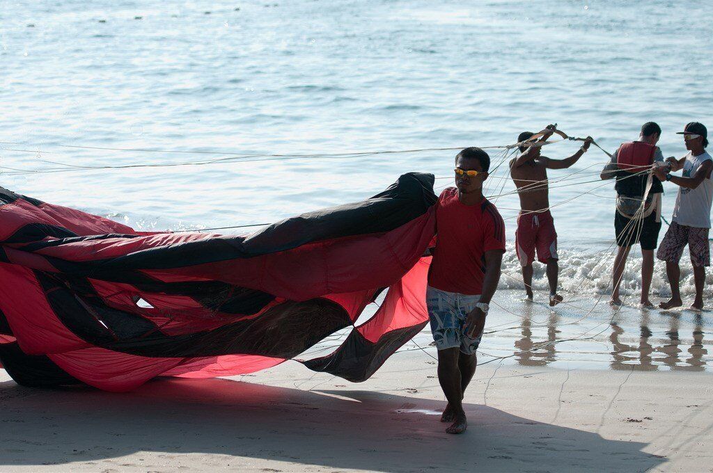 ���������� ����, ���� ������� ������, 44 ����, ������������ ��� ������, ����� � ���������, c�������� ���������, ���������