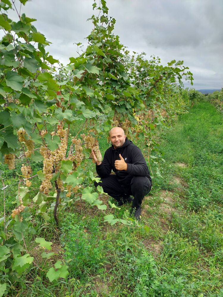 ���� 56038319 ������� ������, 41 ���, ���� ���������� � ������������