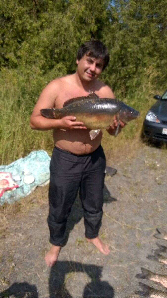 ���������� ��������, ���� ������� ���������, 42 ����, ������������ ��� ������, ����� � ���������, c�������� ���������