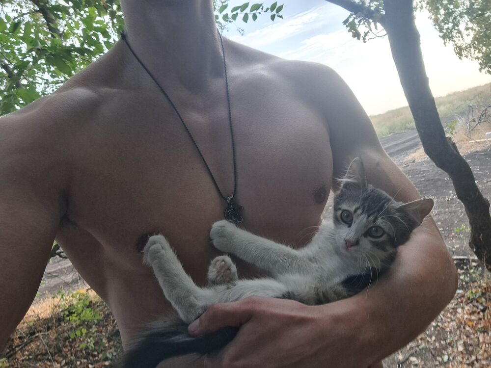 ���������� ������, ���� ������� ����������, 27 ���, ������������ ��� ������, ����� � ���������, c�������� ���������