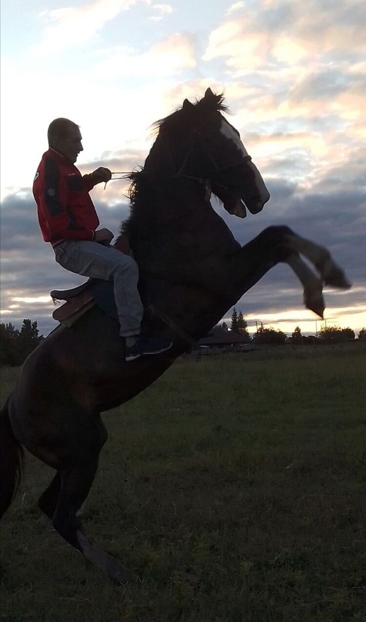 ���� 41477559 ������� ���������, 38 ���, ���� ���������� � ������������