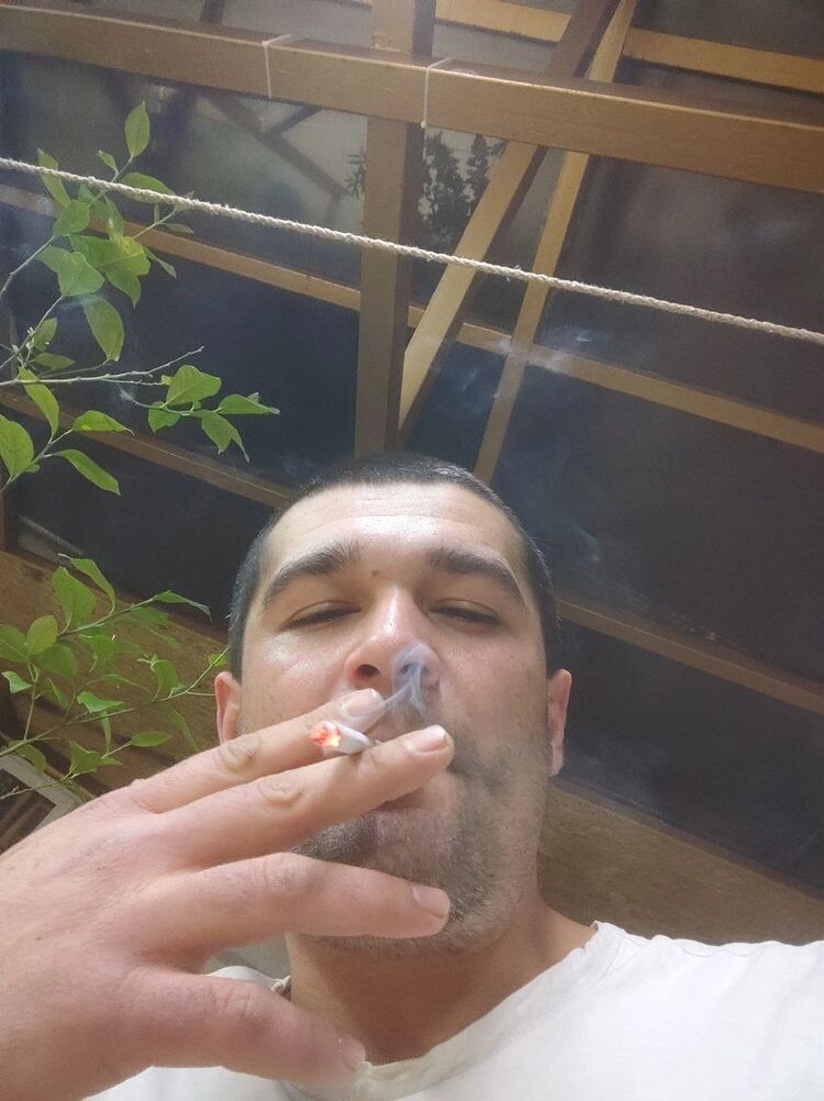  33181519  , 26 ,    