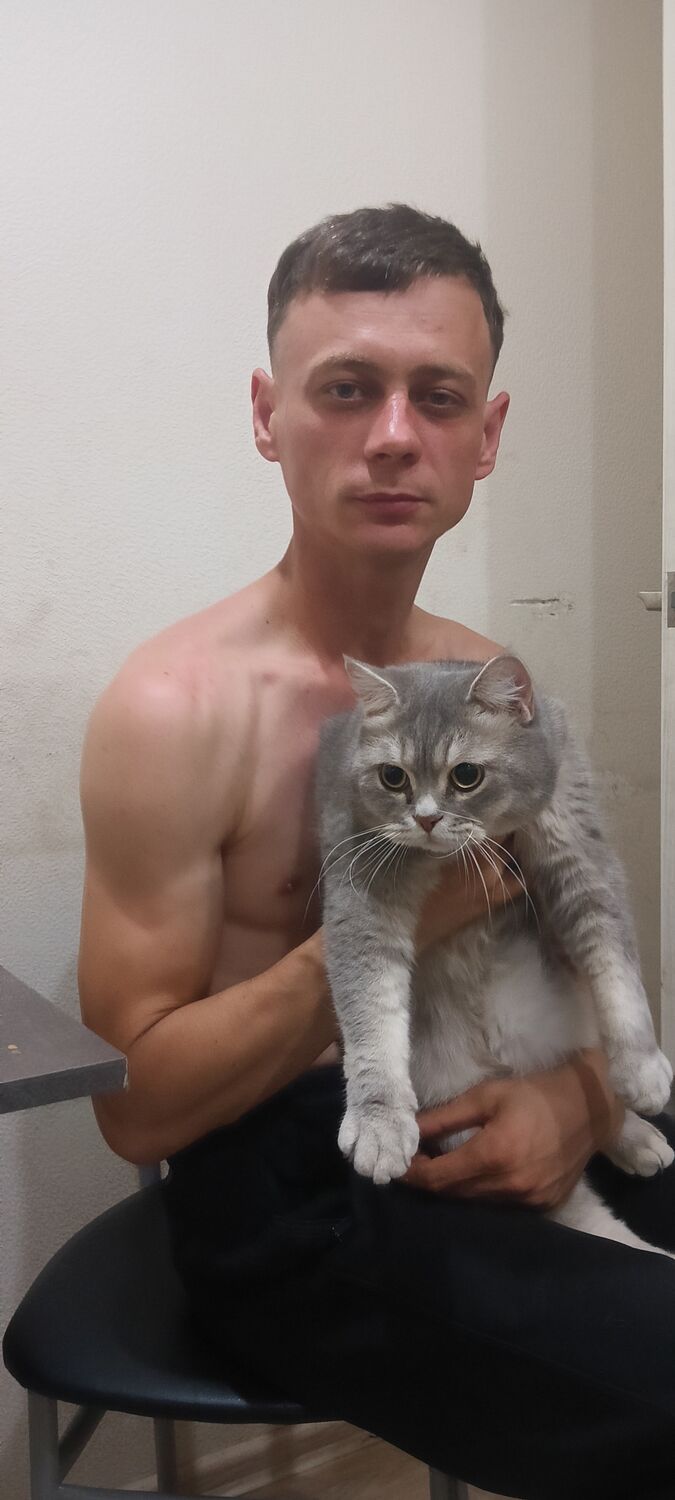 ���� 54143549 ������� ��������, 31 ���, ���� ���������� � ���������