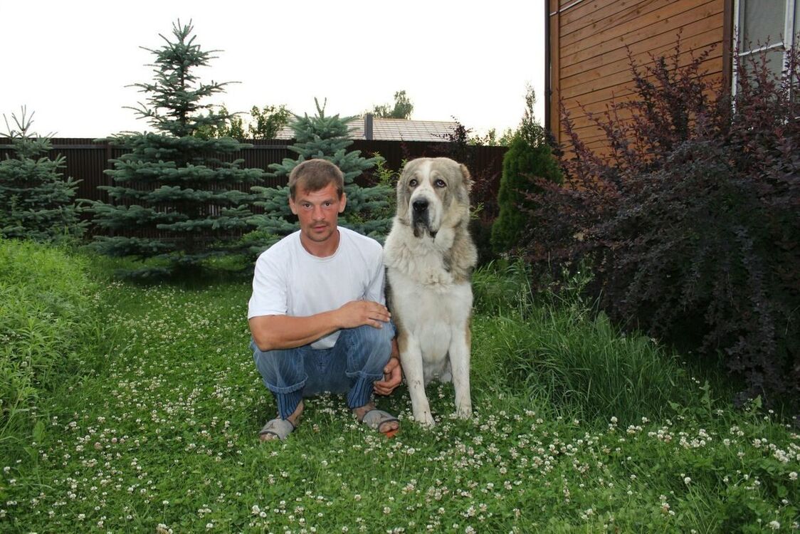 ���������� ������ ��������, ���� ������� ���������, 47 ���, ������������ ��� ������, ����� � ���������, c�������� ���������