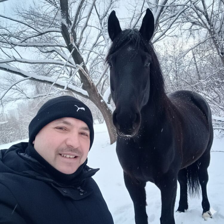 ���������� ������, ���� ������� Ali, 45 ���, ������������ ��� c�������� ���������