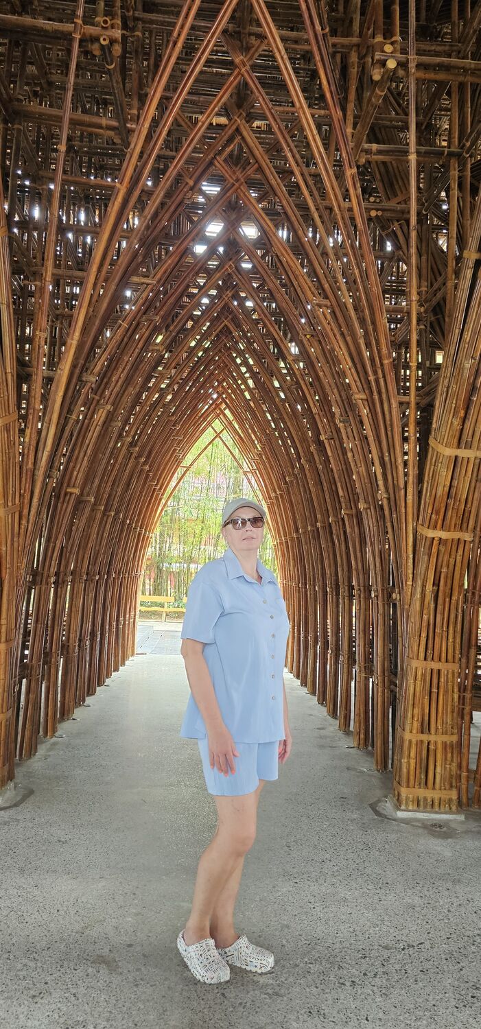  54704439  , 53 ,    -