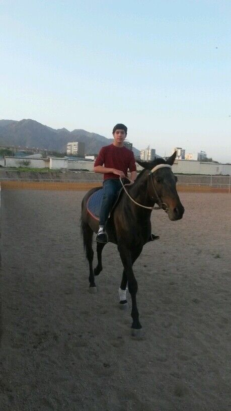 ���� 6000039 ������� �����, 28 ���, ���� ���������� � ��������