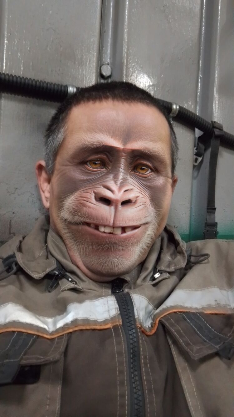 ���� 56209709 ������� ���������, 53 ����, ���� ���������� � ������������