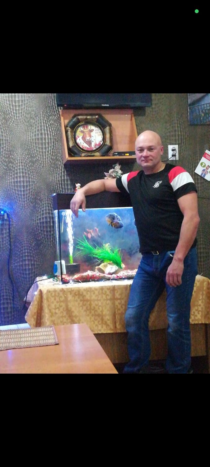 ���� 54945419 ������� �������, 45 ���, ���� ���������� � ����������