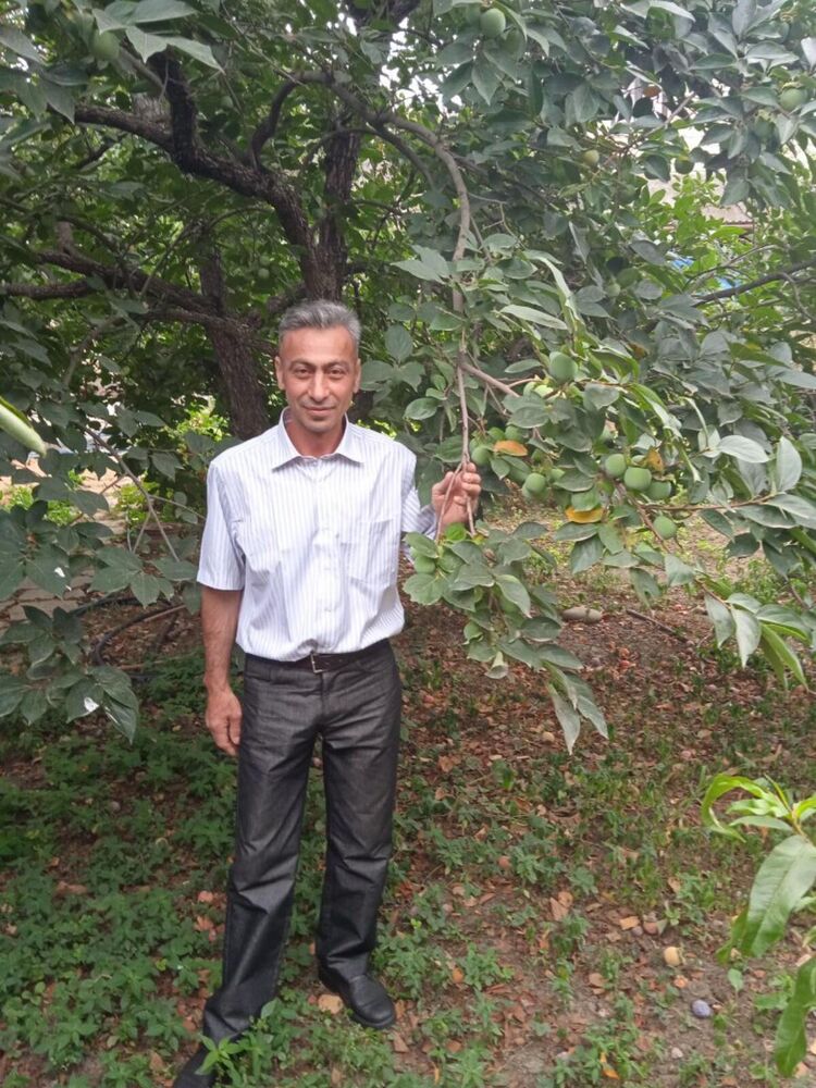 ���� 26584119 ������� �����, 49 ���, ���� ���������� � �������