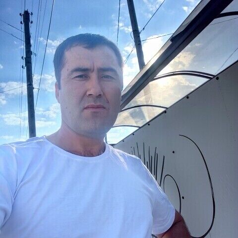  53864149  , 42 ,    