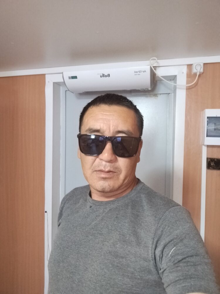  43933169  , 46 ,    