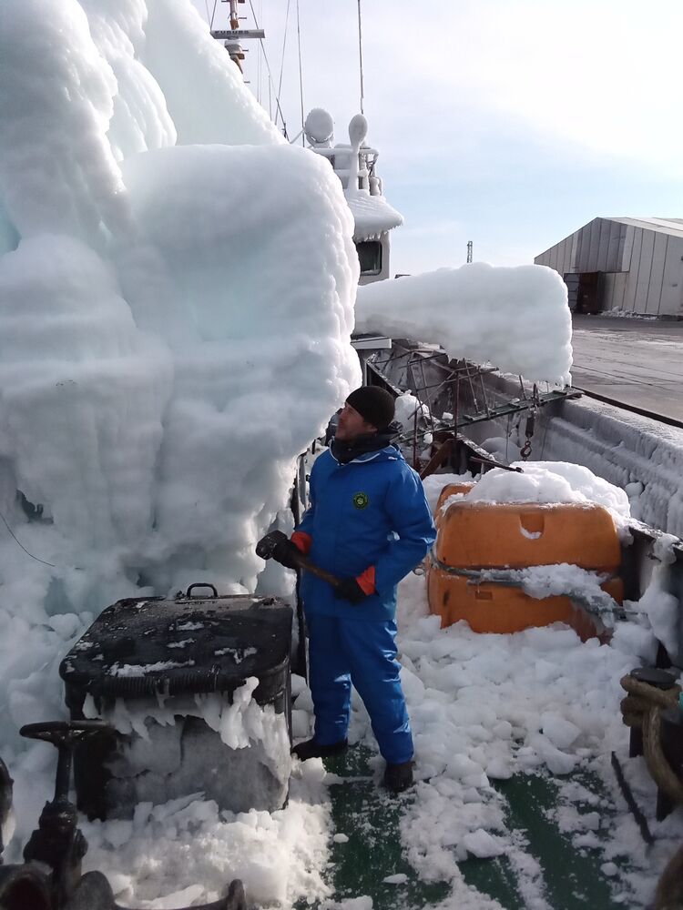 ���� 27996139 ������� �����, 40 ���, ���� ���������� � ����-����������