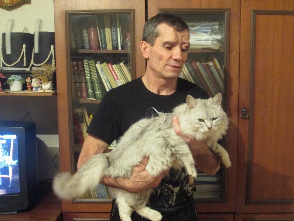 ���� 55814399 ������� �����, 66 ���, ���� ���������� � ���������