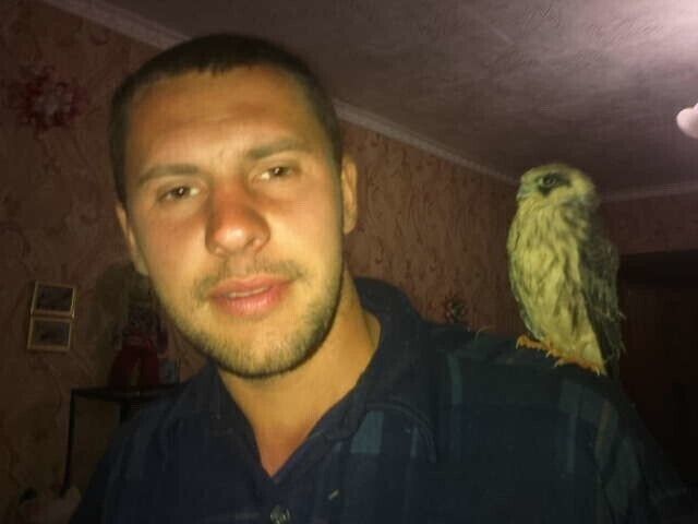 ���������� ������, ���� ������� ������, 33 ����, ������������ ��� ������, ����� � ���������, c�������� ���������